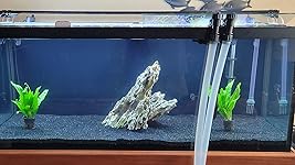 Review Image by Snorkel