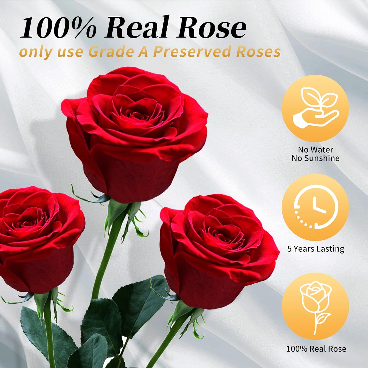 Blue Forever Flowers Roses in A Box,Real Preserved Flowers,Preserved Roses,Forever Flower Gifts for Women/Men/Mom,Flowers for Valentine's Mothers Day - Image 2