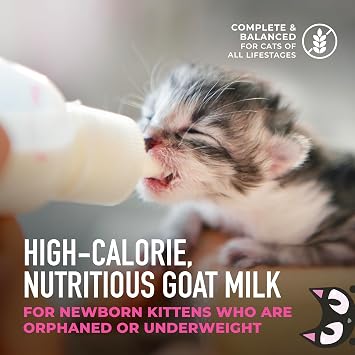 Tiki Cat Baby Milk Replacer, Goat Milk, 6 oz. Spout Pouch (6 Count) | Milk Replacer for Kittens, Goat Milk with Tuna, With DHA for Brain Development, Mother's Milk, Ready to Serve, Spout Pouch