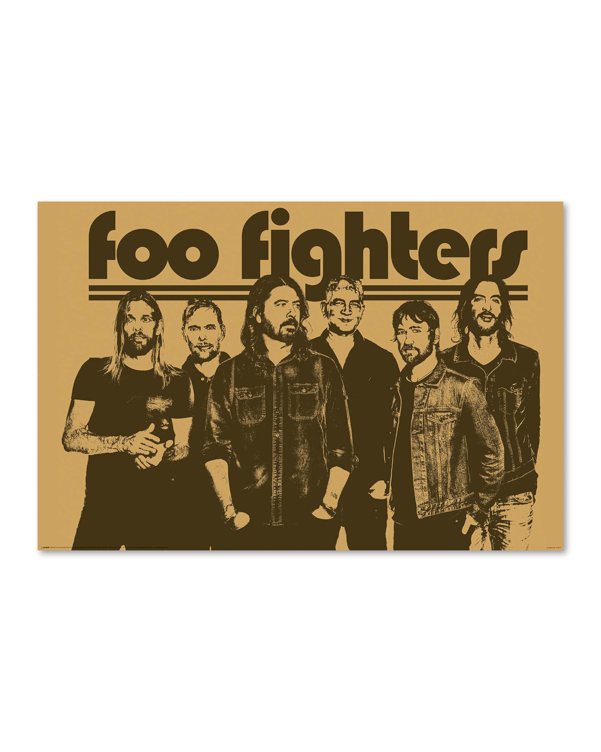 Foo Fighters (Group) Maxi Poster