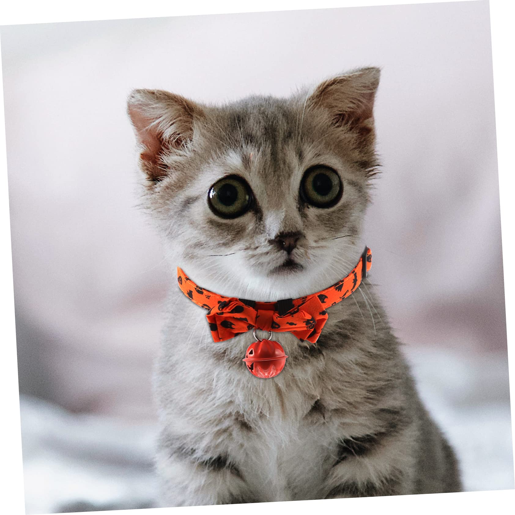 Happyyami 5stücke Halloween Katzenhalsband Mit Verstellbarem Bowknot Stilvolles Und Bequemes Haustierhalsband Für Feiertage Für Hunde Und Katzen Leuchtenden Farben Und Charmantem Design