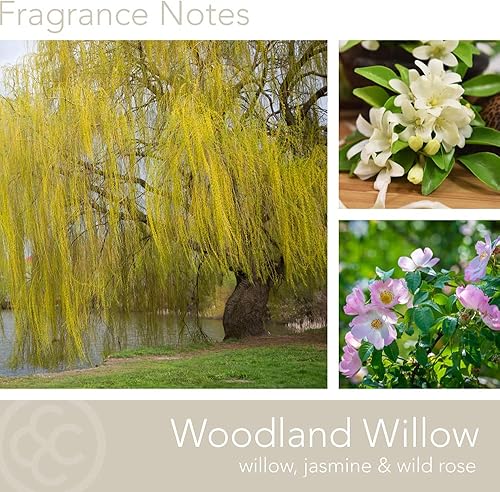 Vista 165 de Colonial Candle Vela perfumada en frasco, cilindros clásicos, brillo navideño, 2 mechas, 19 onzas, morado