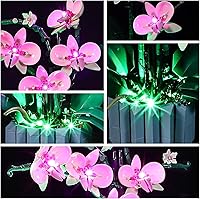 Vista 5 de YEABRICKS Kit de luz LED para Lego - Modelo de bloques de construcción de orquídea creadora, juego de luces LED compatible con 10311