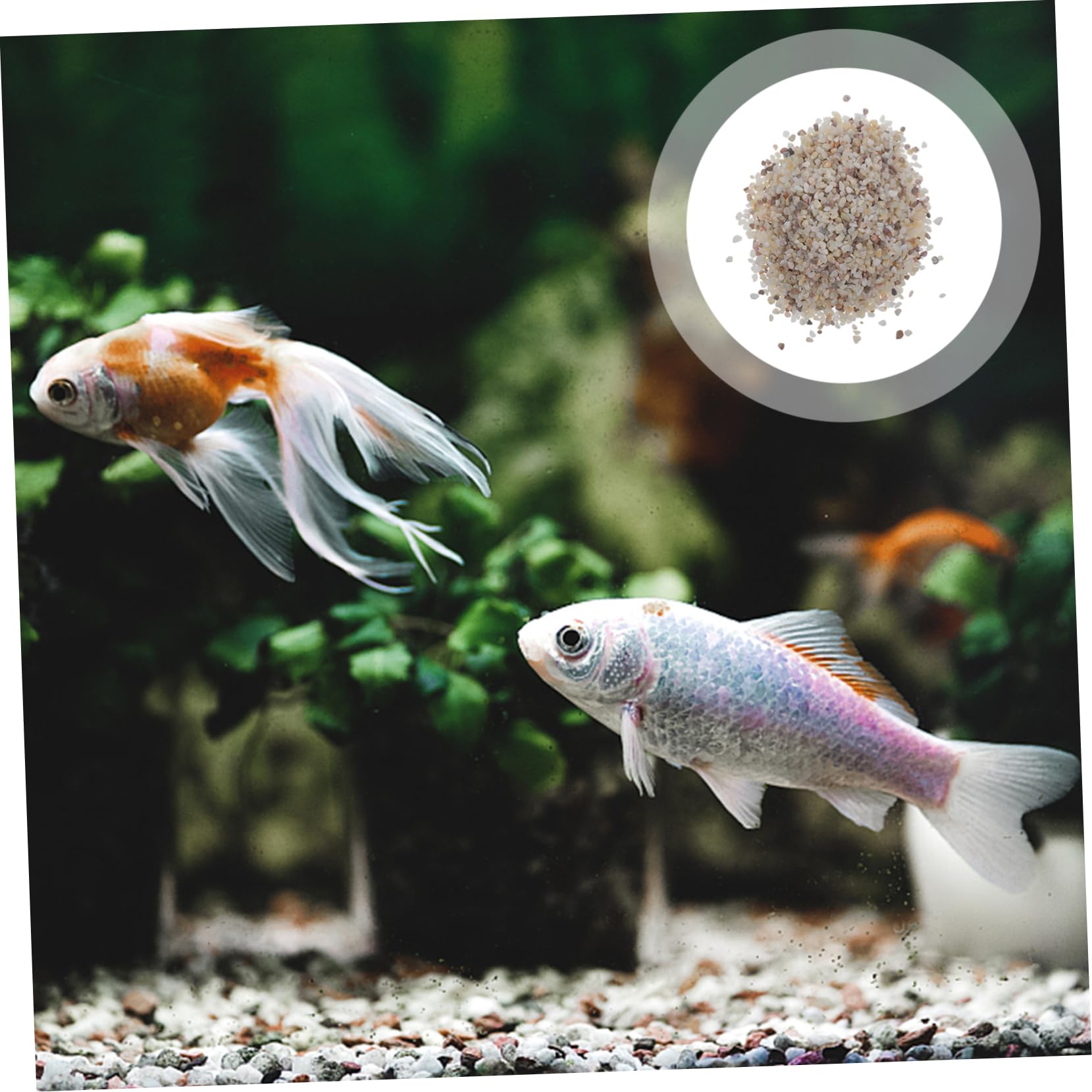 PRETYZOOM Ghiaia Naturale Sicura per Acquari da 1 kg Set per La Decorazione di Acquari Dacqua Dolce
