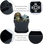 30Pcs 4" Pot de chambre de bébé avec des soucoupes Pots de plantation de fleurs noires, carrées