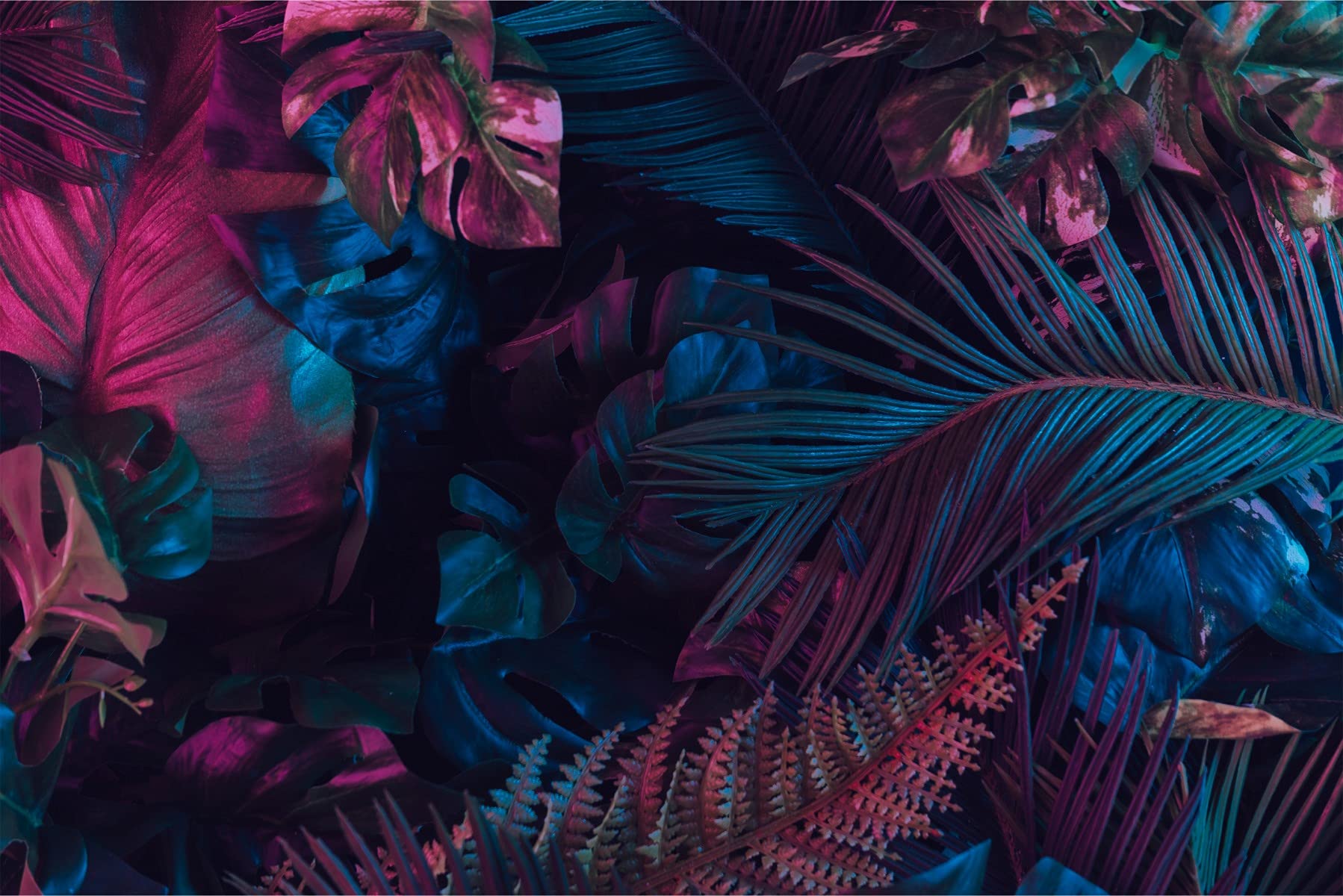 Fototapeta z włókniny monster, paproć, liście, naturalne rośliny, 312 x 219 nowoczesna tapeta XXL Flora, dżungla, egzotyka, do salonu, sypialni, biura, korytarza, tapeta ścienna szer. 312 x wys. 219