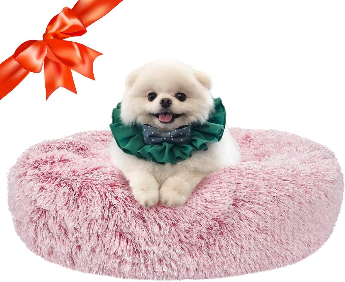 ugg dog bed amazon