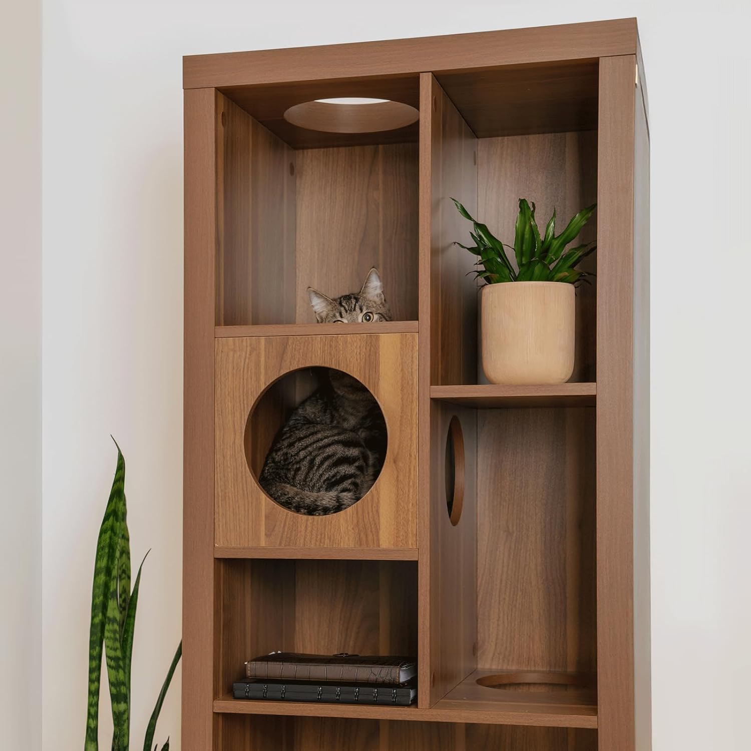 4 Cats & Dogs Cliff Jr. Cat Tree Bookshelf – Stylish Multi-Level Cat Climbing & Hiding Shelf, Space-Saving Bookshelf with 7 Levels, Wall-Mounted Secure Cat Furniture, Walnut (58.5" x 23.75" x 15.5")