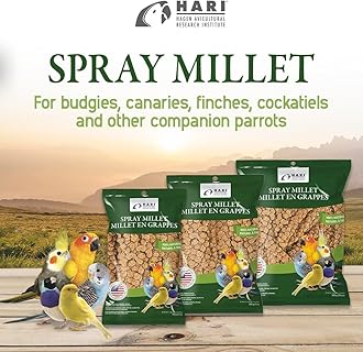 Living World Spray Millet,17.6”.