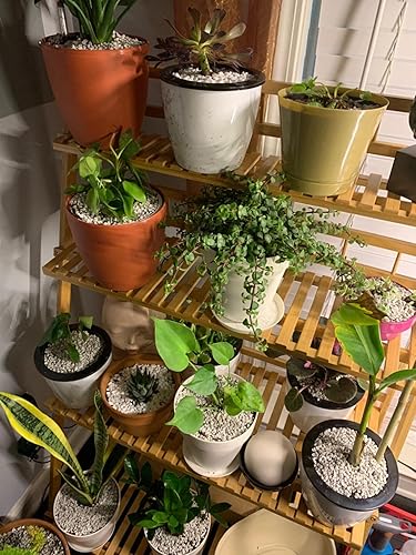 Miniatura 5 de Garden Pumice Rock Horticultural Cactus Bonsái Suculento Aditivo de suelo para plantas, paisajismo (10 libras, 12 pulgada)