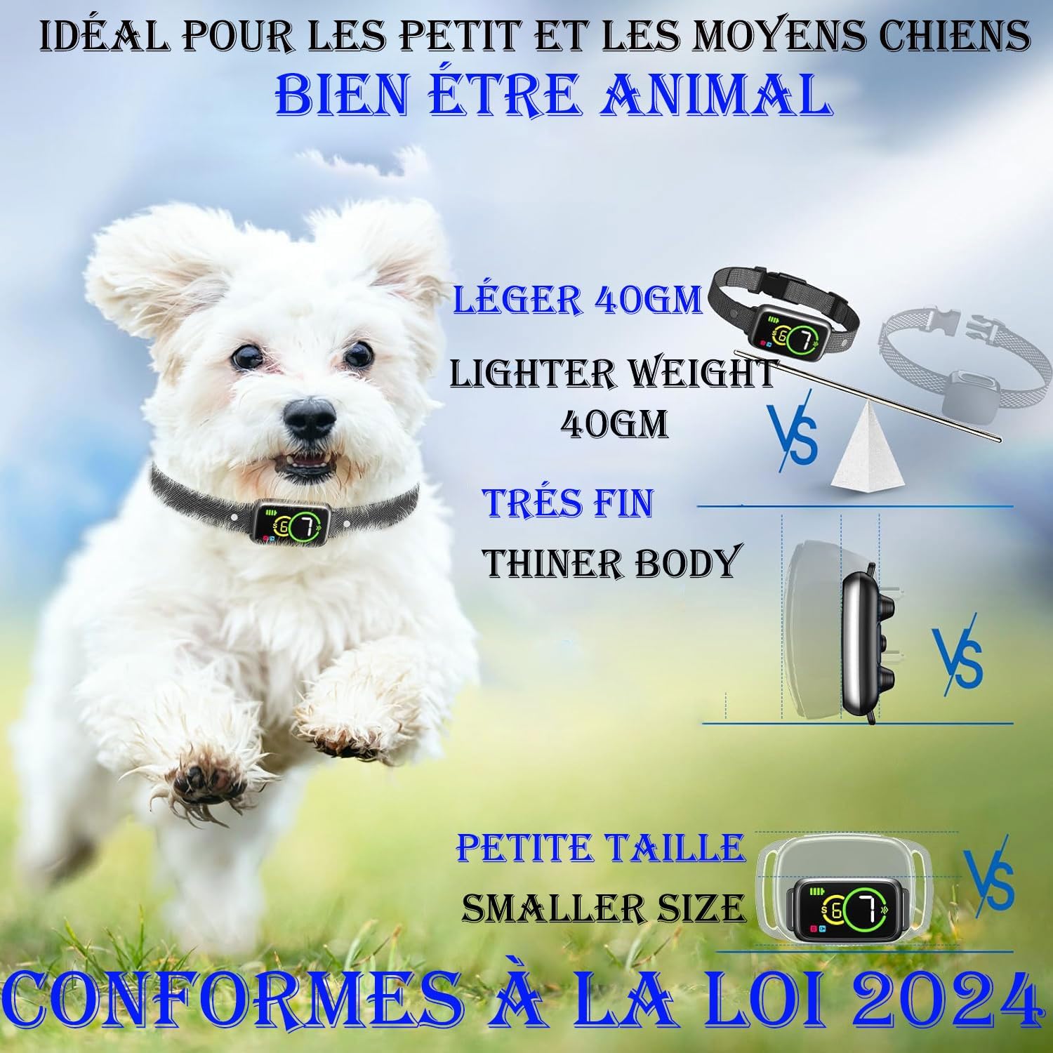 Design et qualité du collier anti aboiement pour chien