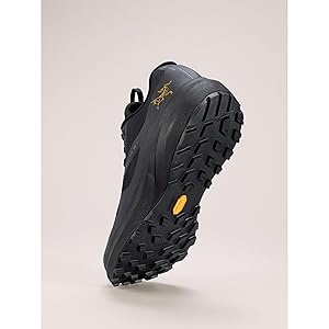 Amazon.com | Arc'teryx Men's Norvan LD 3 GTX Shoe Ultimate
