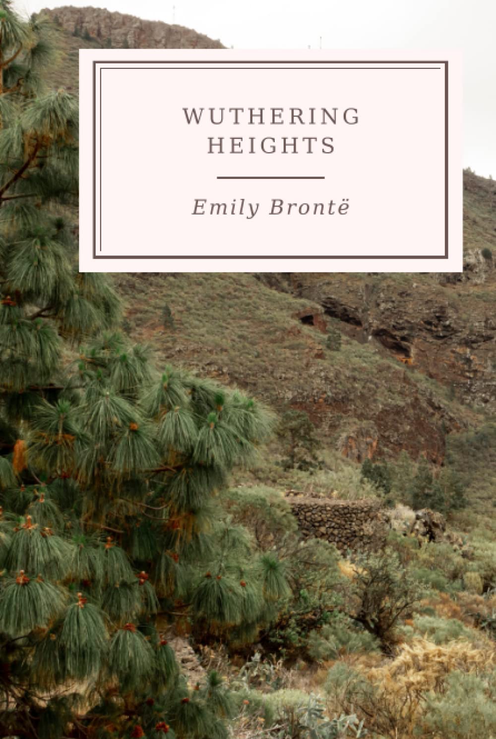 Wuthering Heights: English Edition
