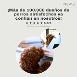 Ver la foto 8