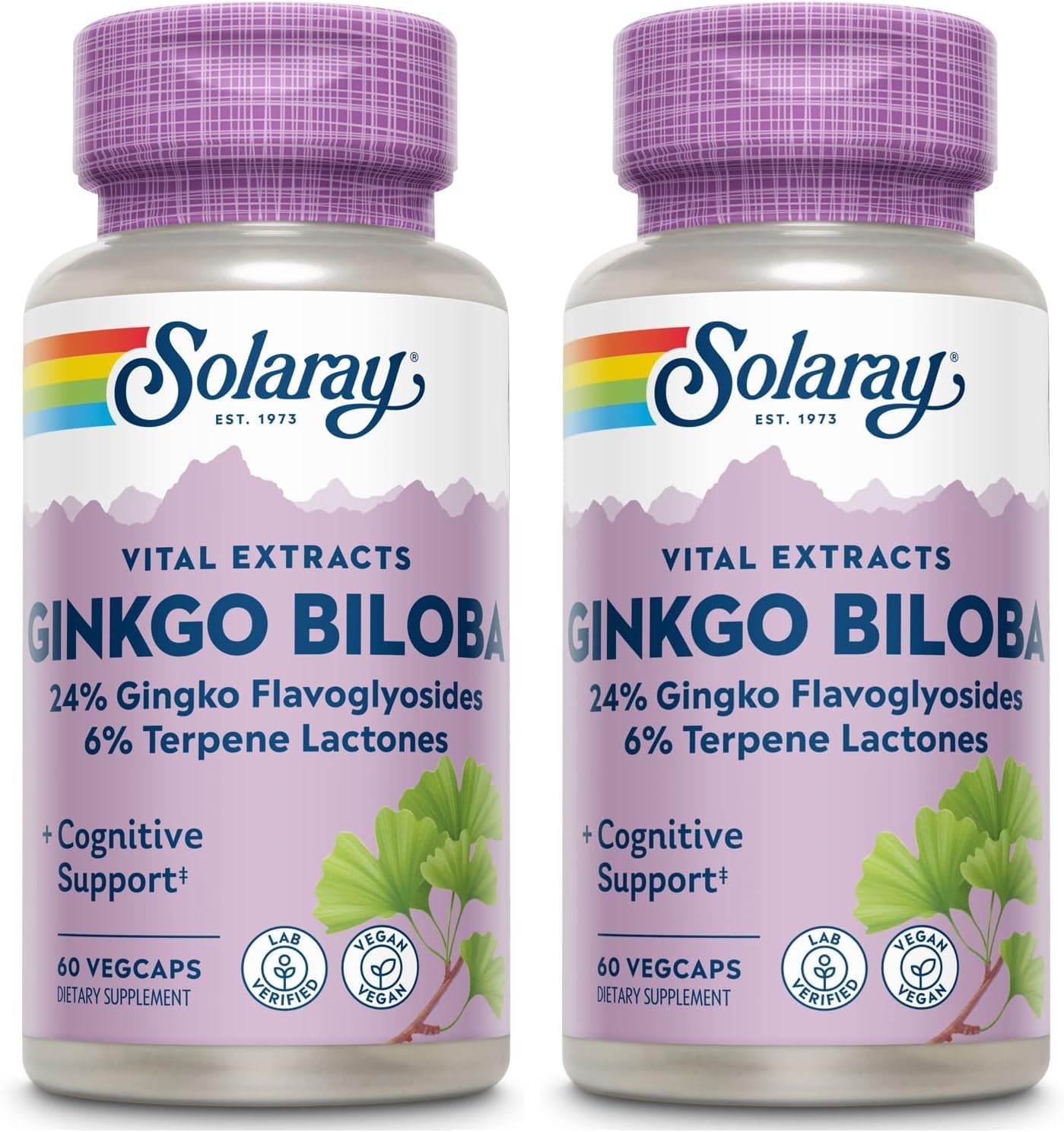 SOLARAY Ginkgo Biloba Extract, Vital Extracts - Brain Supplement - Ginkgo Biloba Capsules for Brain Health and Female Libido Support - Non GMO, Vegan, Gluten Free, 60-Day Guarantee - 120 Servings