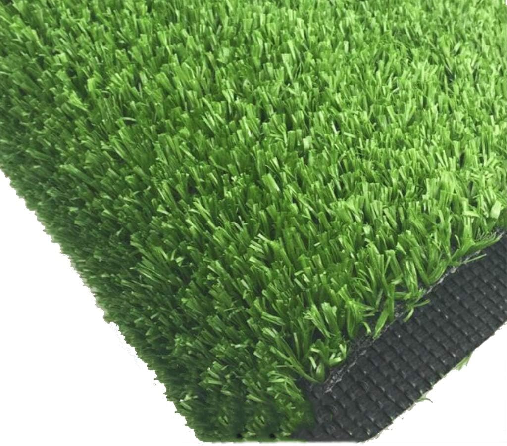 erba indoor per cani