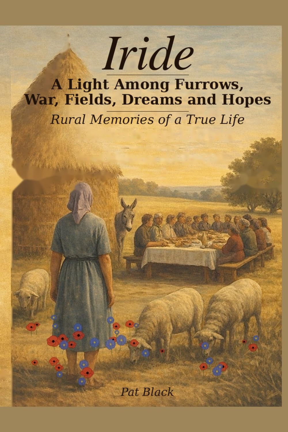 A light Through Furrows: War, Fileds, Dreams and Hopes
