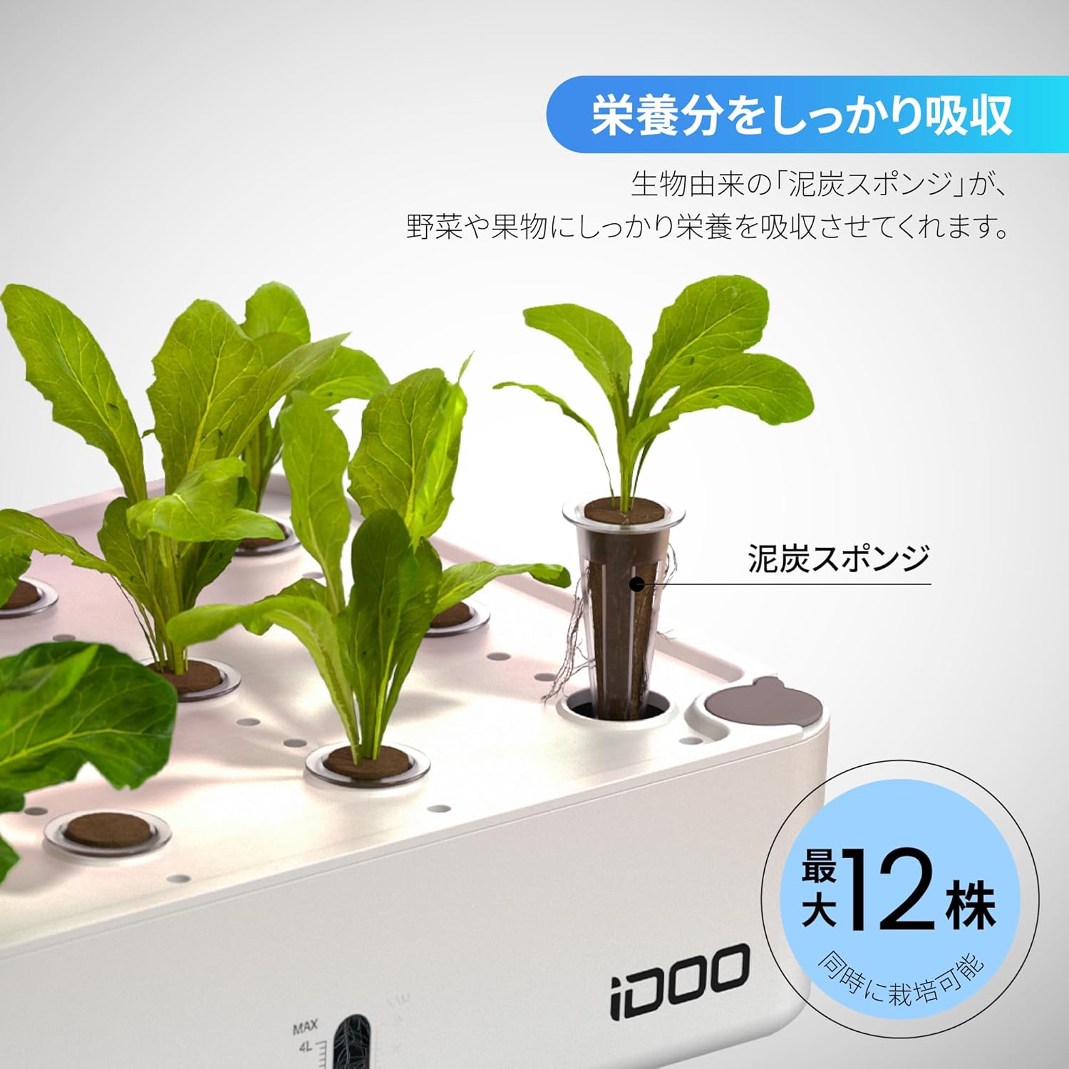 セット 室内 植物育成LEDライト付き 水耕栽培 Amazon.co.jp: iDOO 水耕栽培キット 水耕栽培 セット 室内 植物育成LED