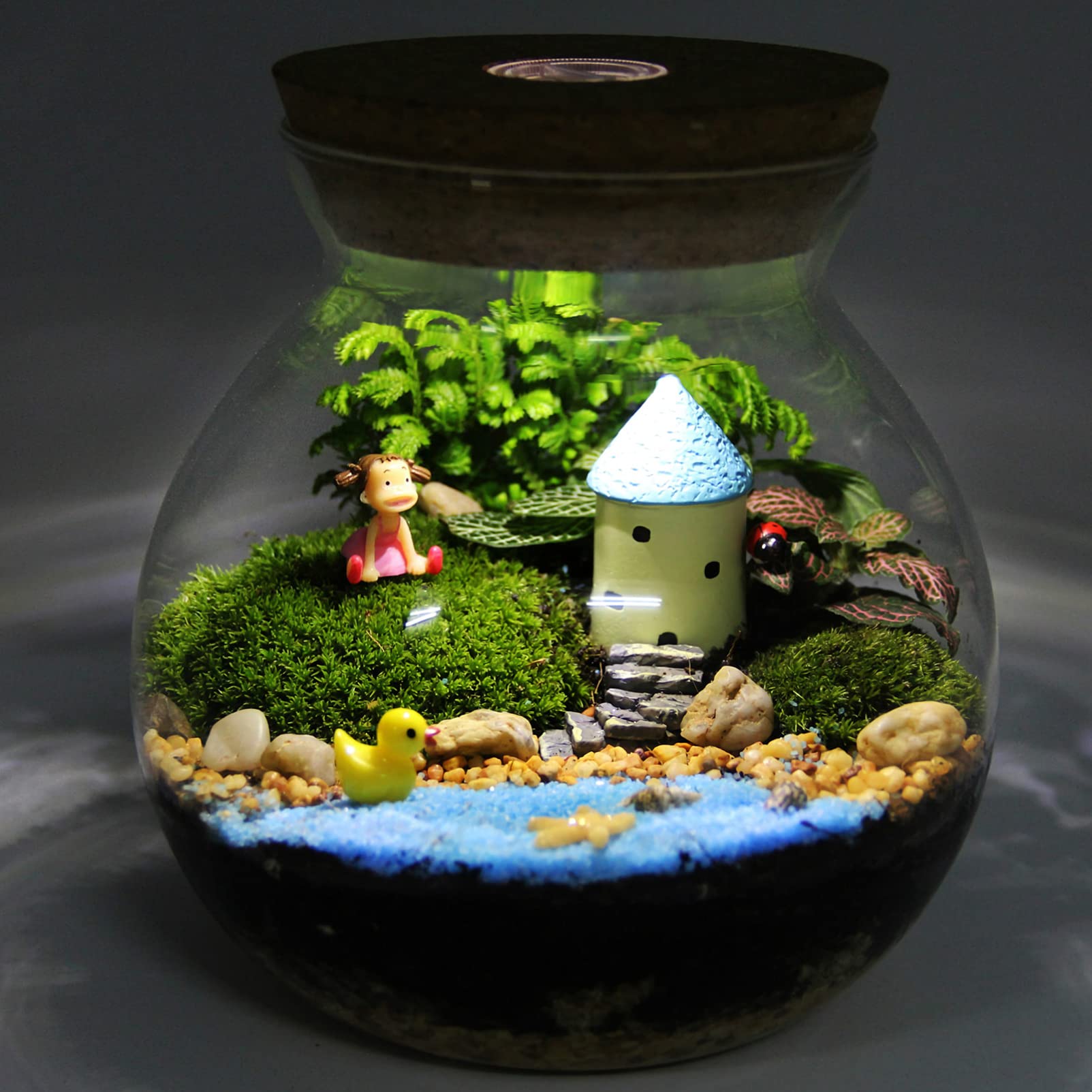 NUOBESTY Landschaftsflasche Tank Fisch Landschaftsbau Flasche Flasche Klare Vase Terrarium Led-Topf Glaswaren Sehr Glas Mit Deckel Mikrolandschaftshalter Hochwertiges