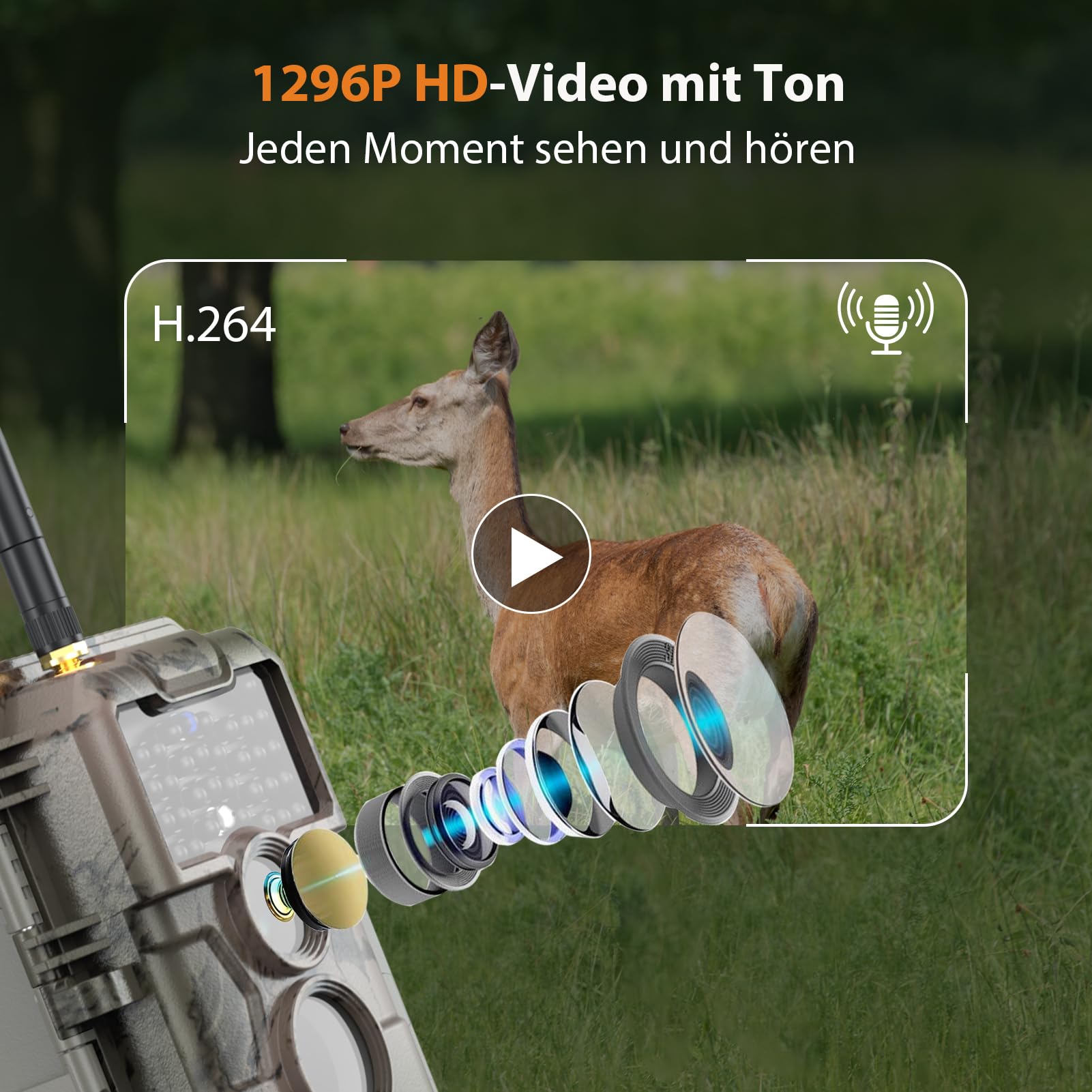 GardePro E6 Wildkamera WLAN, 64 MP, 1296p H.264 Video, 110° Blickwinkel, Wildtierkamera mit Nachtsicht, Bewegungsaktivierung, Garten-Kamerafalle