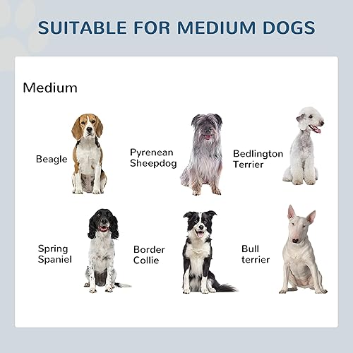 Miniatura 6 de PawHut Cuencos elevados para perros, doble acero inoxidable resistente, estación de alimentación elevada para mascotas, 10.5 pulgadas de alto