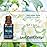 BURIBURI Jasmine Essential Oil, 100% Pure, Undiluted, Natural, Organic Aromatherapy Jasmine Oils 10ML for Massage, Diffuser, Soap Making Candle Making