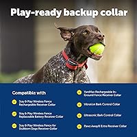 Vista 6 de PetSafe Correa de repuesto para collar de 3/4 pulgadas sin agujeros, correa ajustable, diseño de nailon duradero, hebilla de cierre rápido