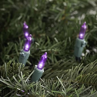 Northlight LED Mini Christmas Lights - Purple - 33' Green Wire - 100ct