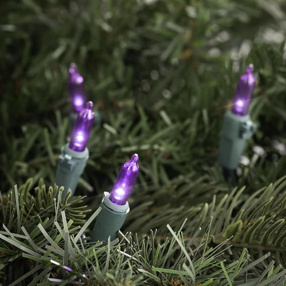 Northlight LED Mini Christmas Lights - Purple - 33' Green Wire - 100ct