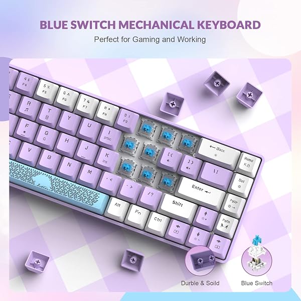 YINDIAO T8 60% Mechanische Gaming Tastatur,68 Tasten TKL Kompakt Layout,Kabelgebundene Mini Tastatur,18 RGB Beleuchtung,Blauer Schalter,Anti-Ghosting,Pro USB-C Spiralkabel,für PC,MAC,PS4,XBOX-Lavendel - 4