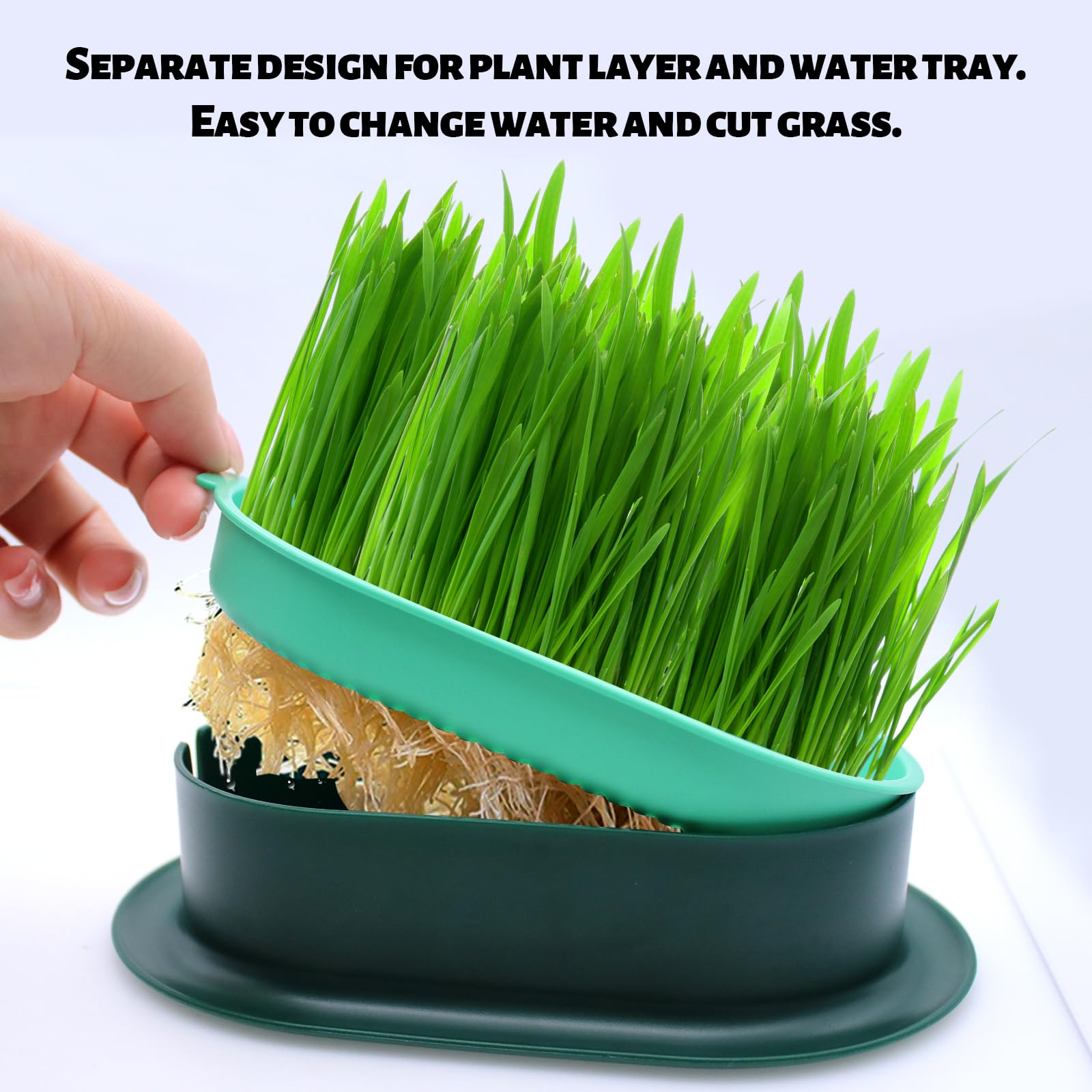2 Stück Keimschale Katzengras Samen Pflanzschalen Kunststoff Keimschalen Hydroponik Seed Sprouter für Garten Home Office