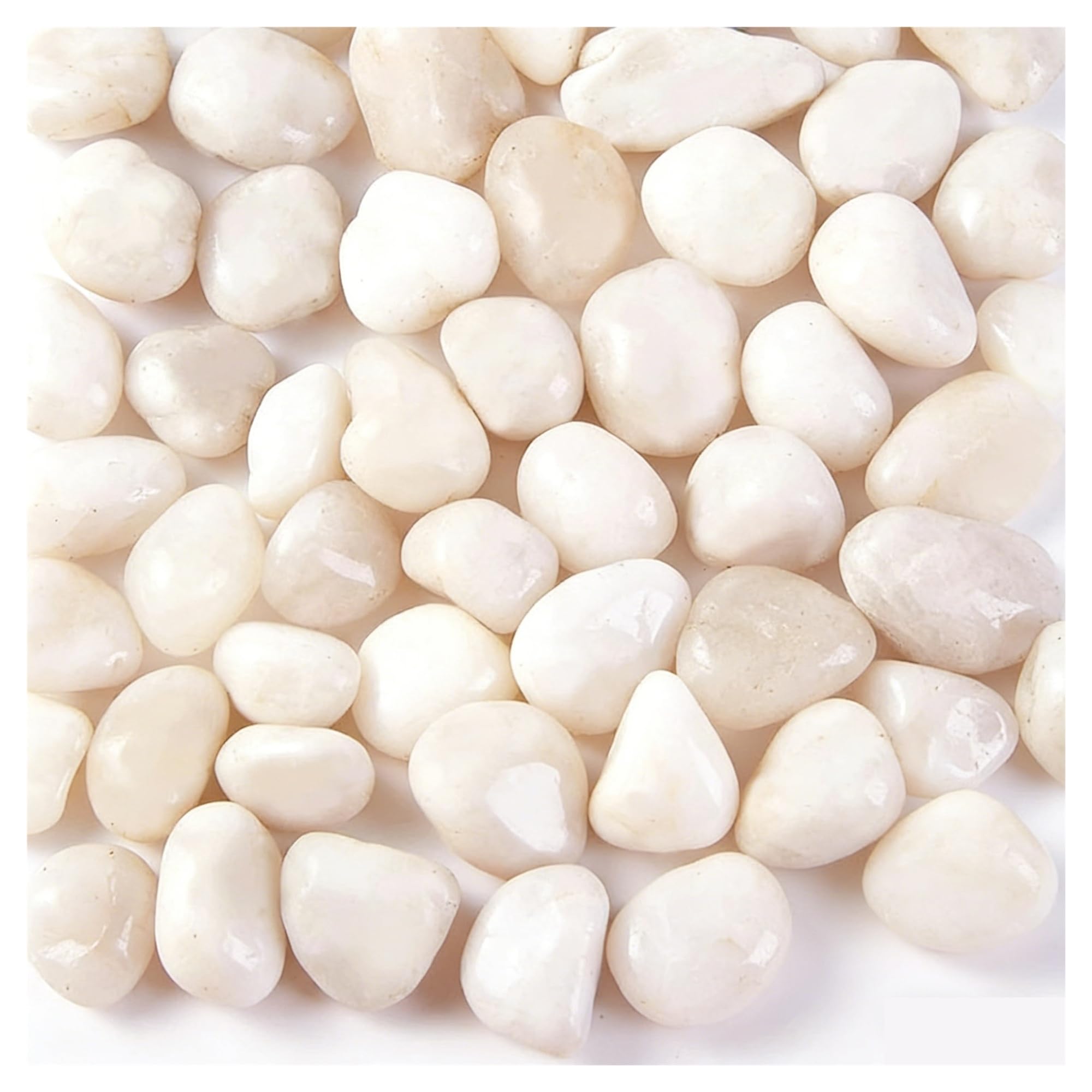 Generico Sassi Bianchi levigati Naturali 2-3cm for Decorazione Paesaggio | Le pietre lisce e pulite si abbinano a vasi, fioriere e alla disposizione del giardino esterno(800g)