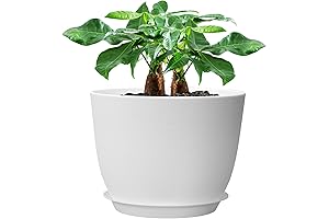 12inch Large Plant Pot: The Perfect Oasis for Your Indoor Plants