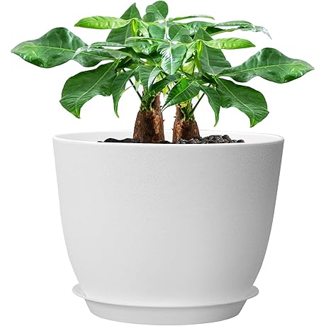 12inch Large Plant Pot: The Perfect Oasis for Your Indoor Plants