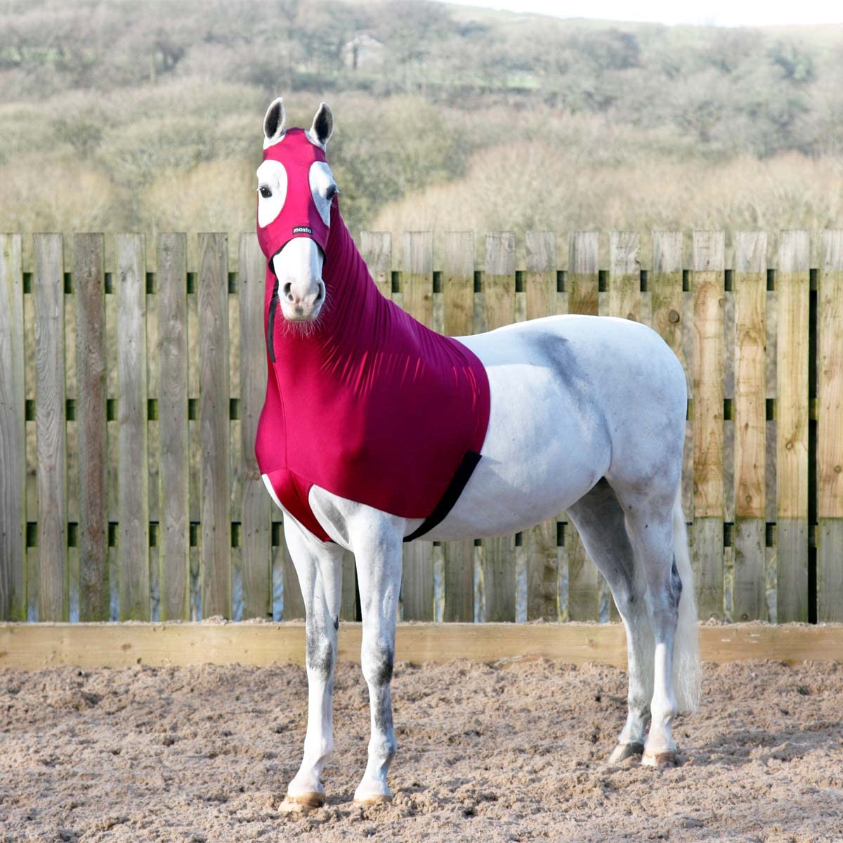 Masta Stretch Lycra Horse Head Hood with Zip - Burgundy - Large