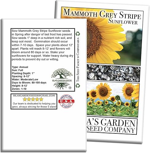 Miniatura 7 de Semillas de flores de girasol de rayas grises Mammoth, más de 50 semillas de reliquia por paquete, semillas de jardín de Isla (semillas de jardín de