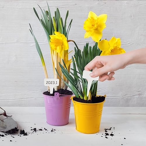 Miniatura 4 de Andiker Juego de 12 herramientas de jardinería, herramientas ajustables para sembradoras de semillas al aire libre, kit de sembradora de jardín con