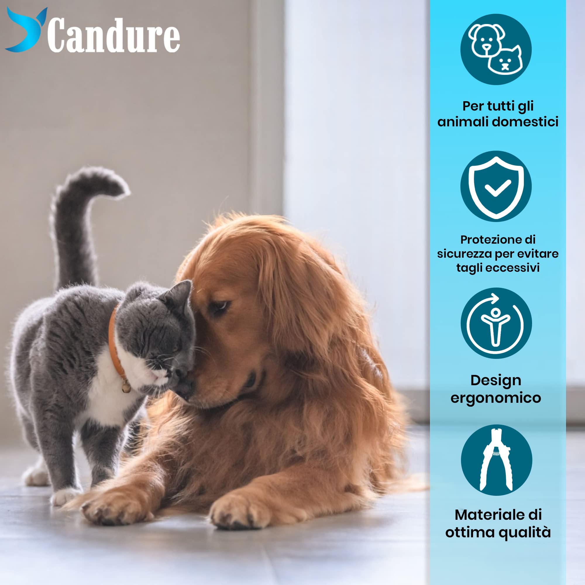 CANDURE Tagliaunghie Cane e Gatto con Guardia per Protezione Cani - Acciaio Inossidabile Tagliaunghie Gatto Professionale per Veterinaria e Uso Personale (Blu, Grande a Medio)