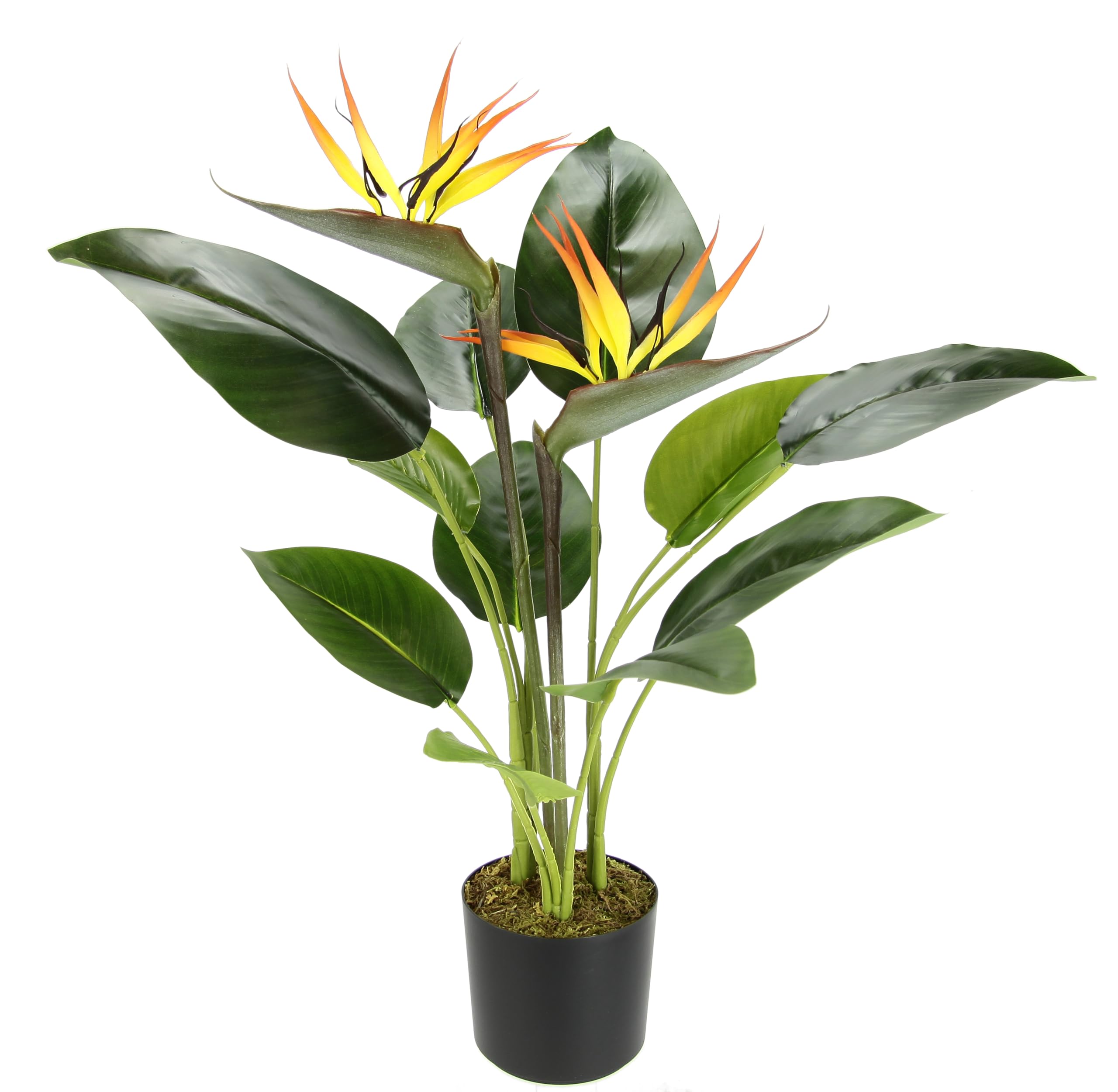 Flair Flower Planta Artificial Strelitzie en Maceta, Flor de Loro con Flor, Planta Artificial en Maceta, Flores Artificiales, Flores de Seda, exóticas Plantas de Interior