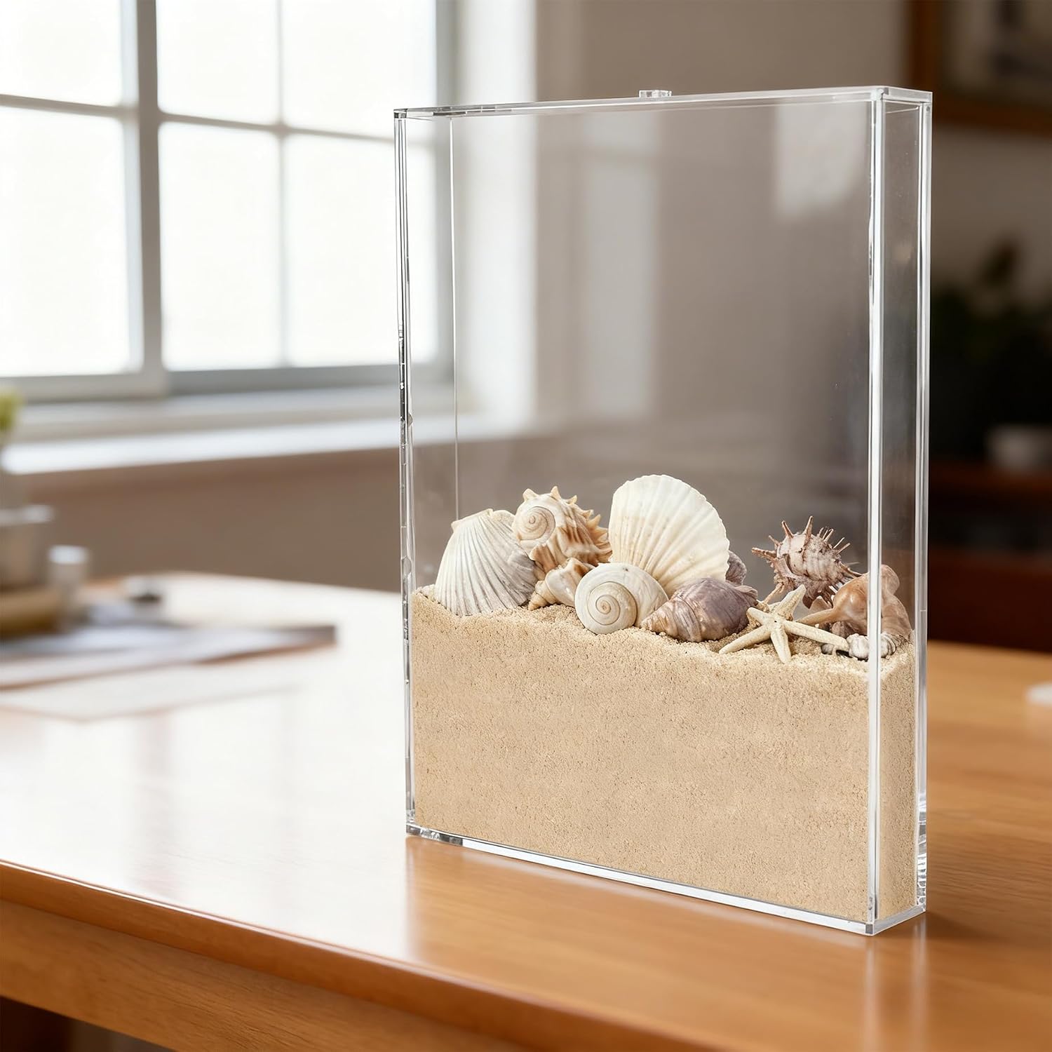 8.8 x 11.4 Inch Acrylic Seashell Display Box, Wall Mount Sea Shell Holder Acrylic Shadow Box Frame for Shells, 3D Floating Display Case, Clear