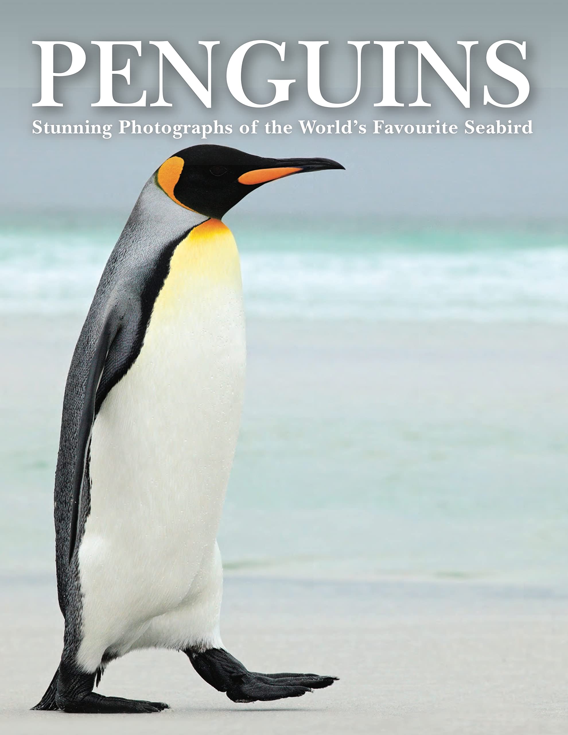 Penguins: Stunning Photographs of the World's Favourite Seabird (Animals) (Animals in Photographs)