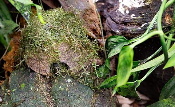 Universal Rock Josh's Frogs Poly-Hut Artificial Coconut Hide