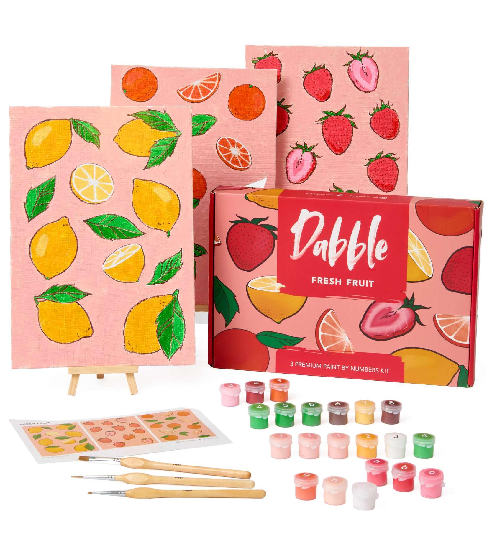 Dabble Paint by Numbers Kits – Set of 3 Paint by Numbers for Adults Beginners with Canvas Frame, Painting Kits for Adults, Flowers Designs