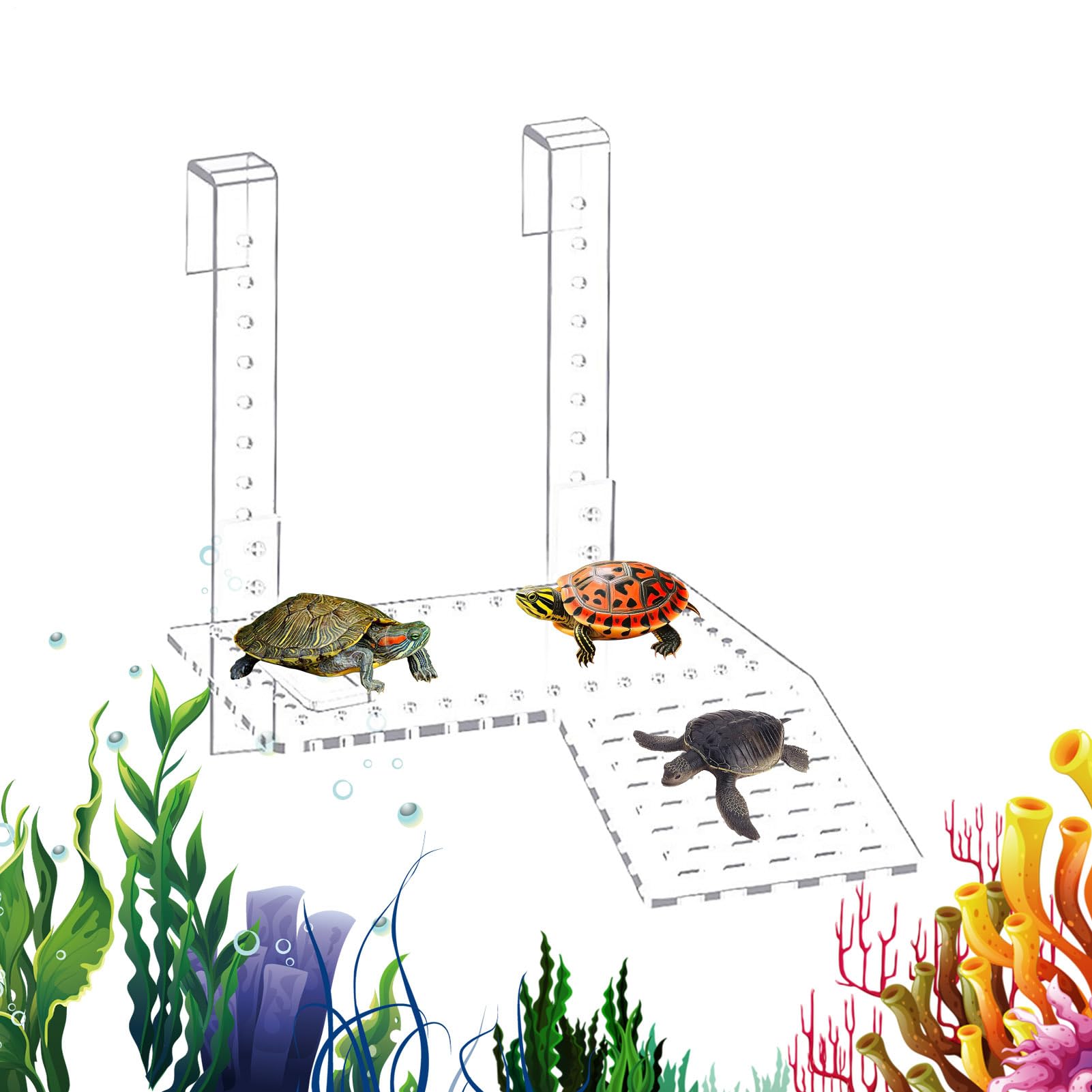 Plate-forme pour tortue flottante en acrylique transparent réglable