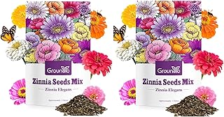 Zinnia Seeds, 2 Oz (2 Packs), Flowers Seeds for Planting, Wildflower Seeds Bulk, 5 Varieties Mixed Colors and Large Blooms, Open Pollinated, Non GMO Made in USA