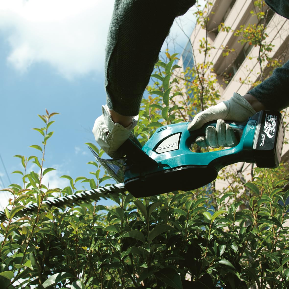 MAKITA DUH523RF - Cortasetos 18V 3,0 Ah 52cm