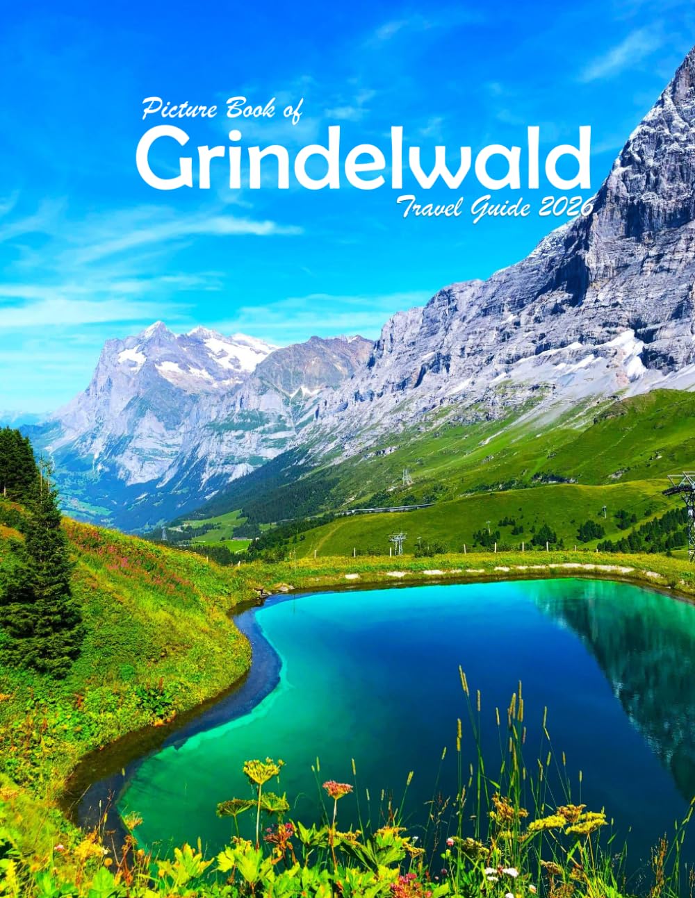 Grindelwald, Switzerland: A Visual Journey Through Stunning Landmarks, Travel and Nature lovers.