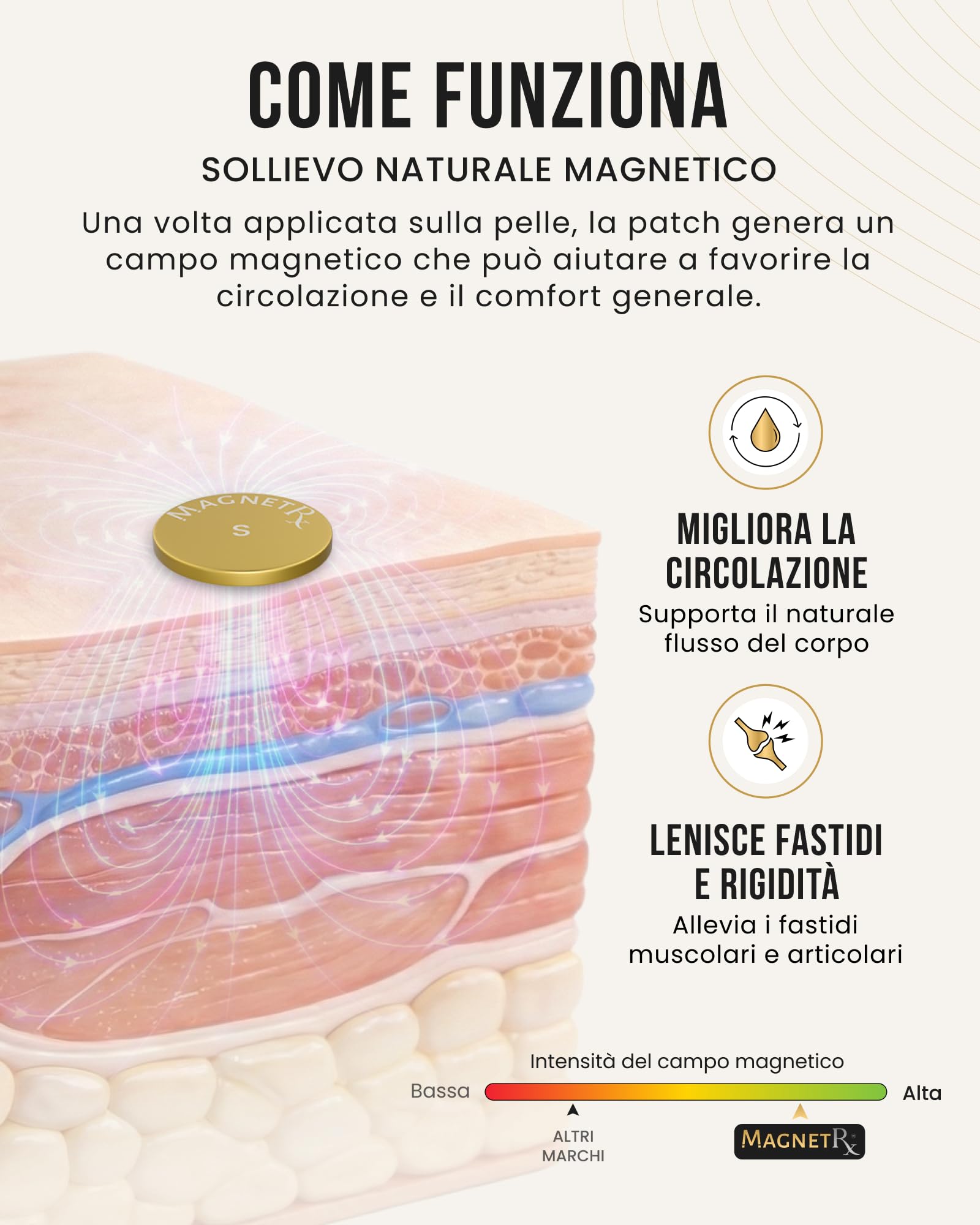 MagnetRX® Set di Magneti per Terapia ad Alta Potenza – Cerotti Magnetici per Dolori di Schiena, Spalle, Ginocchia, Fianchi, Collo e Corpo – Con 2 Magneti Riutilizzabili e 20 Cerotti Adesivi