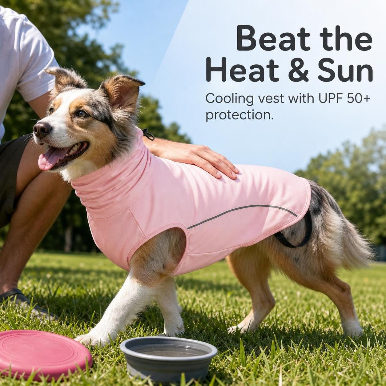 Gilet rafraîchissant pour Chien, Protection Solaire pour l'été, pour Le Confort