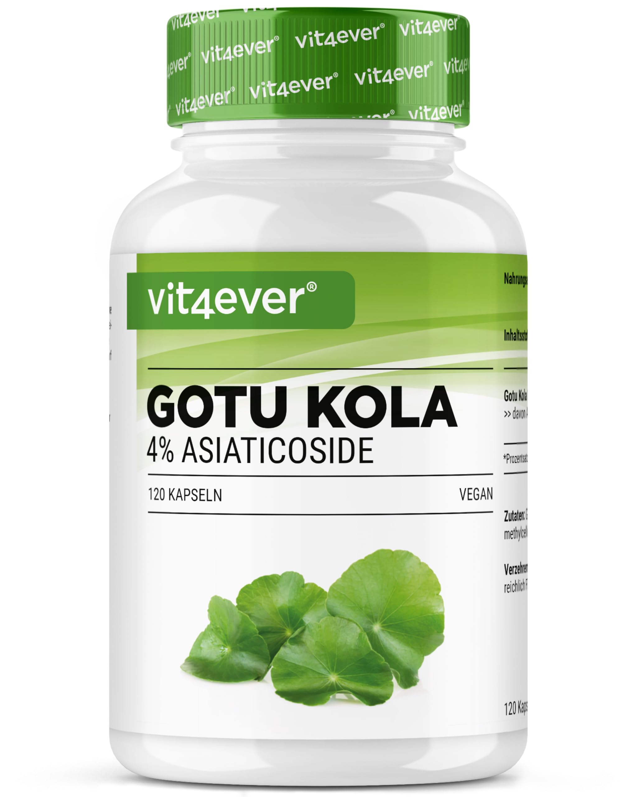 vit4ever Gotu Kola Extrakt - 120 vegane Kapseln | 1500 mg Centella asiatica Extrakt pro Tagesdosis, Standardisiert auf 4% Asiaticoside, Laborgeprüft, Hochdosiert